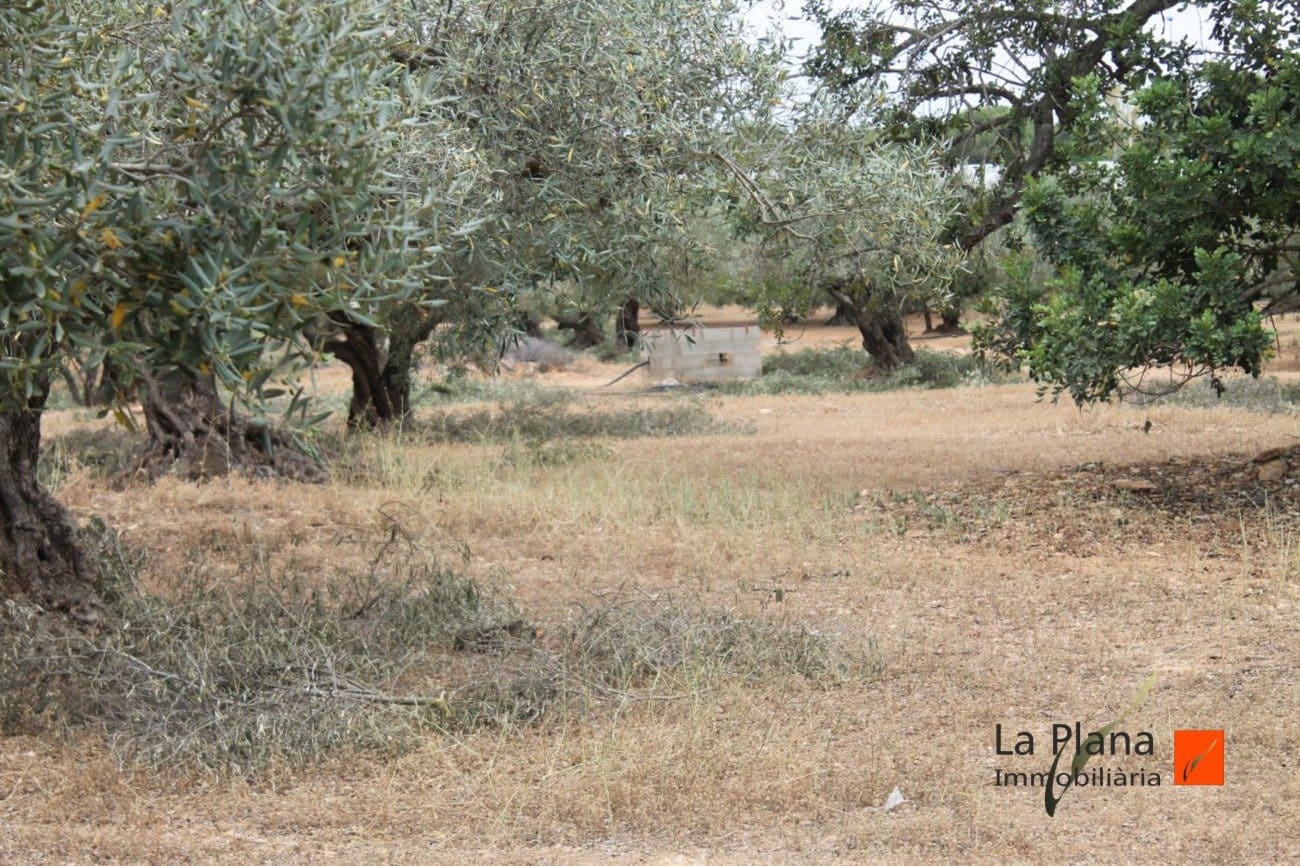 Finca/Landehus til salg i L'Aldea - € 125.000 (Ref: 7510503)