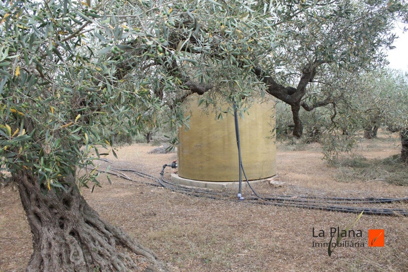 Finca/Landehus til salg i L'Aldea - € 125.000 (Ref: 7510503)