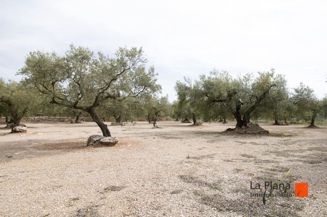 Grunde uden byggetilladelser til salg i Mas de Barberans - € 85.000 (Ref: 7521530)