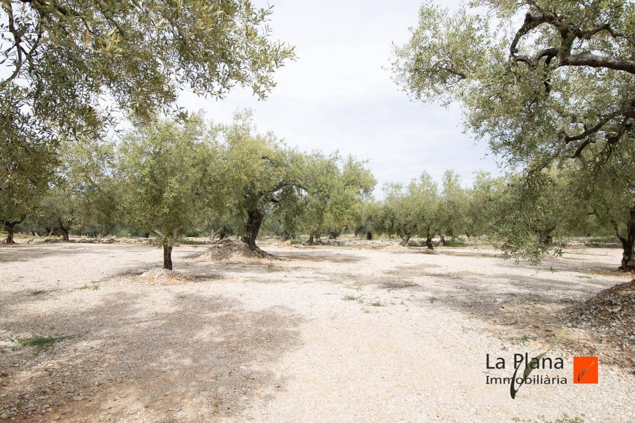 Rakentamaton maa myytävänä paikassa Mas de Barberans - 85 000 € (Ref: 7521530)