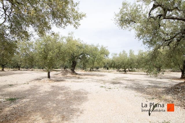 Grunde uden byggetilladelser til salg i Mas de Barberans - € 85.000 (Ref: 7521530)