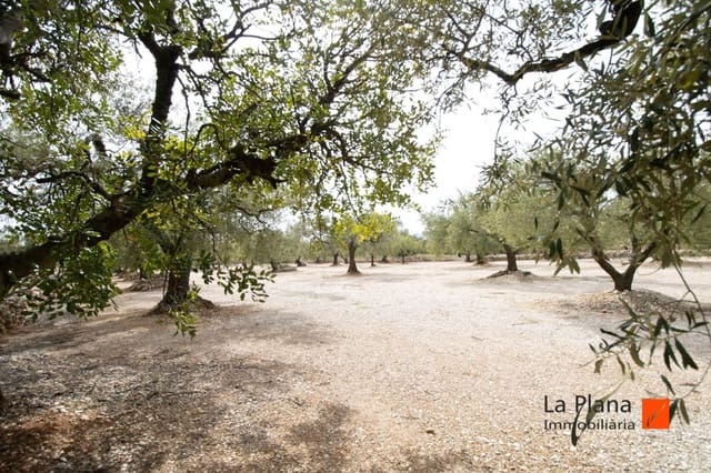 Grunde uden byggetilladelser til salg i Mas de Barberans - € 85.000 (Ref: 7521530)