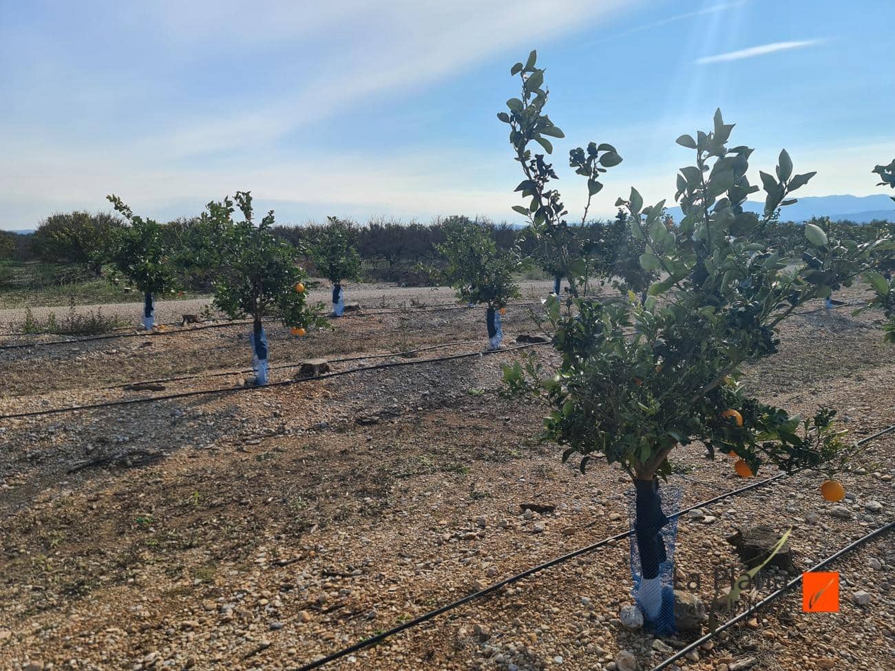 Finca/Landehus til salg i Santa Barbara - € 110.000 (Ref: 7522543)