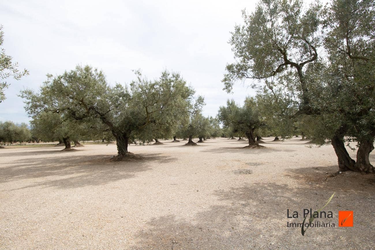 1 soveværelse Finca/Landehus til salg i La Galera - € 48.000 (Ref: 7545700)