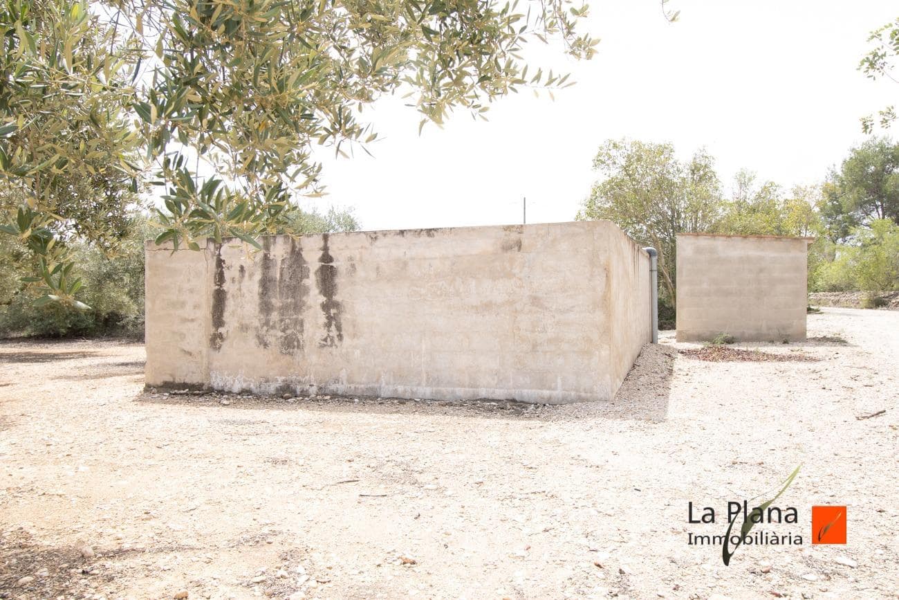 Grunde uden byggetilladelser til salg i Santa Barbara - € 36.000 (Ref: 7734464)