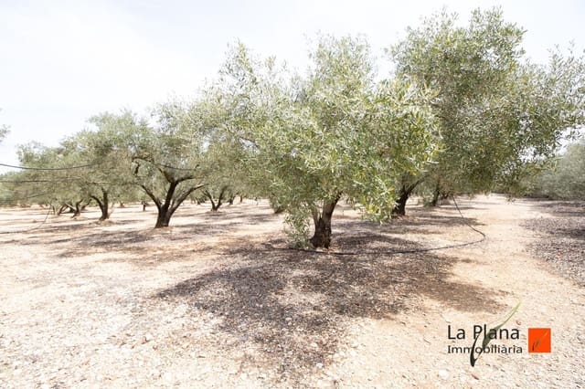 Undeveloped Land for sale in Santa Bàrbara - € 36,000 (Ref: 7734464)