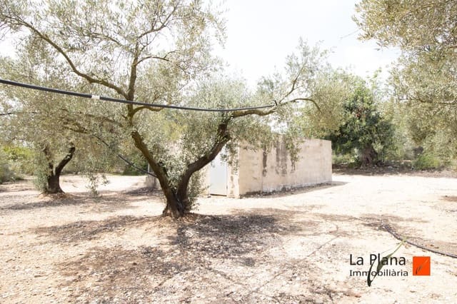 Undeveloped Land for sale in Santa Bàrbara - € 36,000 (Ref: 7734464)