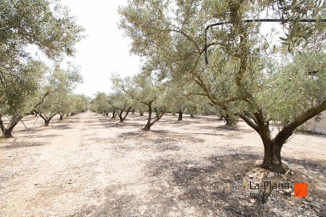 Undeveloped Land for sale in Santa Bàrbara - € 36,000 (Ref: 7734464)