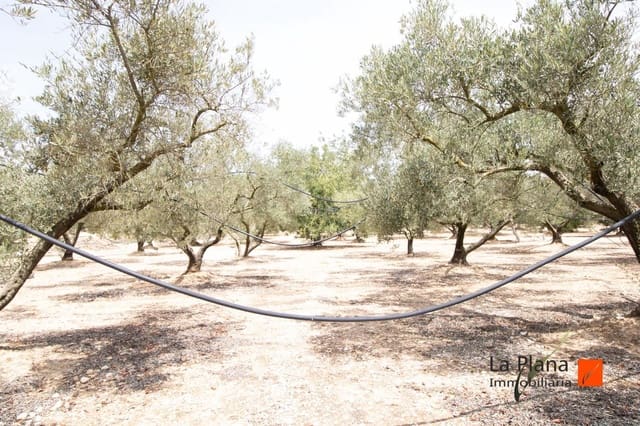 Undeveloped Land for sale in Santa Bàrbara - € 36,000 (Ref: 7734464)
