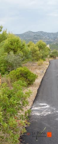 Undeveloped Land for sale in Alcanar - € 26,900 (Ref: 7790130)