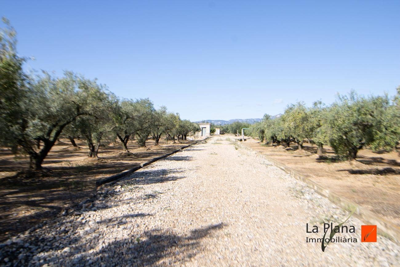 Grunde uden byggetilladelser til salg i Santa Barbara - € 29.800 (Ref: 7866414)