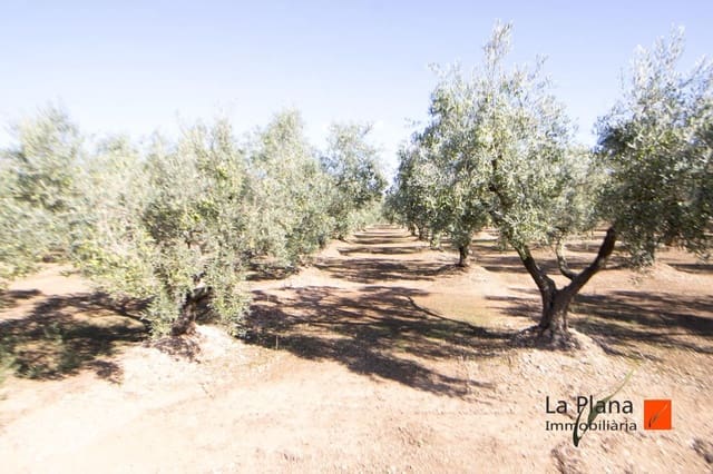 Undeveloped Land for sale in Santa Bàrbara - € 29,800 (Ref: 7866414)