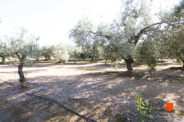 Undeveloped Land for sale in Santa Bàrbara - € 29,800 (Ref: 7866414)