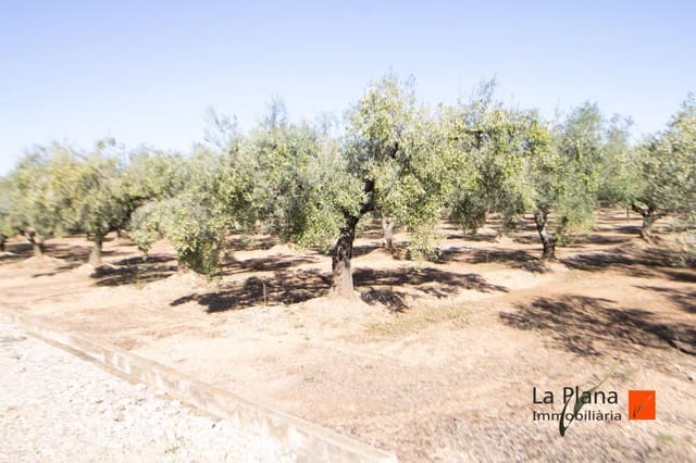 Undeveloped Land for sale in Santa Bàrbara - € 29,800 (Ref: 7866414)