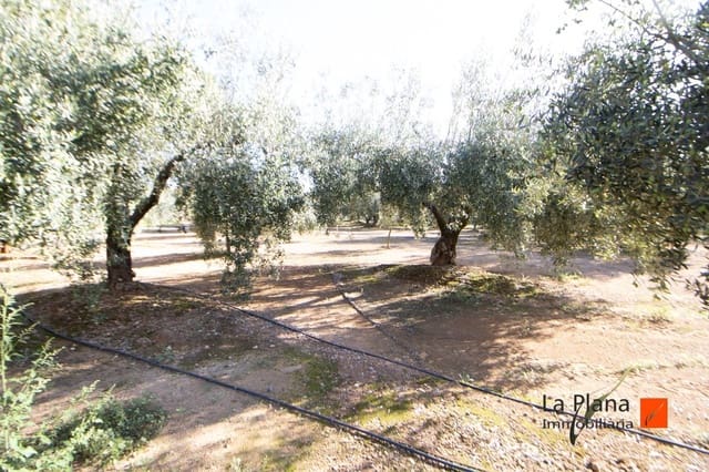 Undeveloped Land for sale in Santa Bàrbara - € 29,800 (Ref: 7866414)