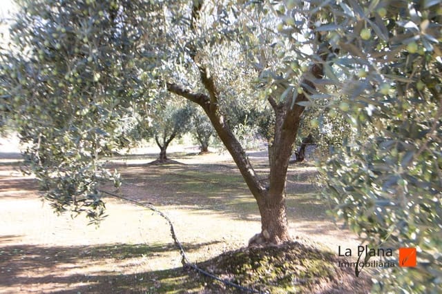 Undeveloped Land for sale in Santa Bàrbara - € 29,800 (Ref: 7866414)