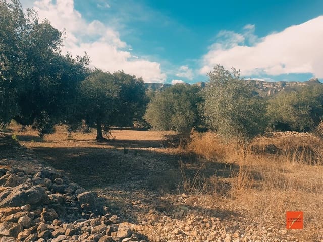 Undeveloped Land for sale in Sant Carles de la Ràpita - € 96,500 (Ref: 7948335)