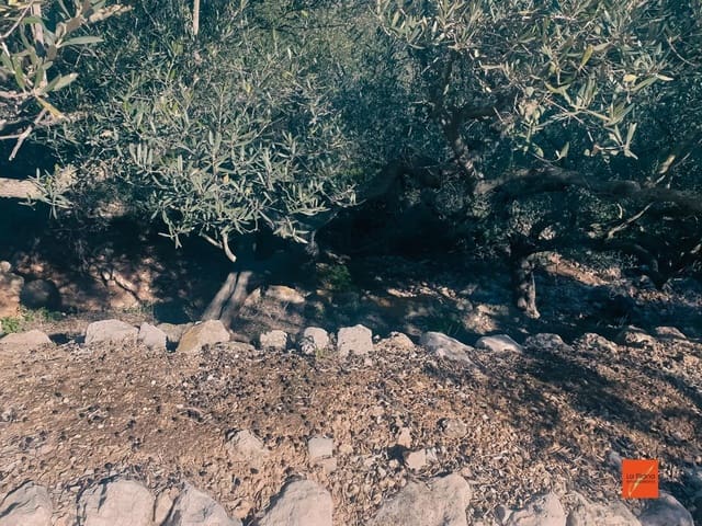 Undeveloped Land for sale in Sant Carles de la Ràpita - € 96,500 (Ref: 7948335)