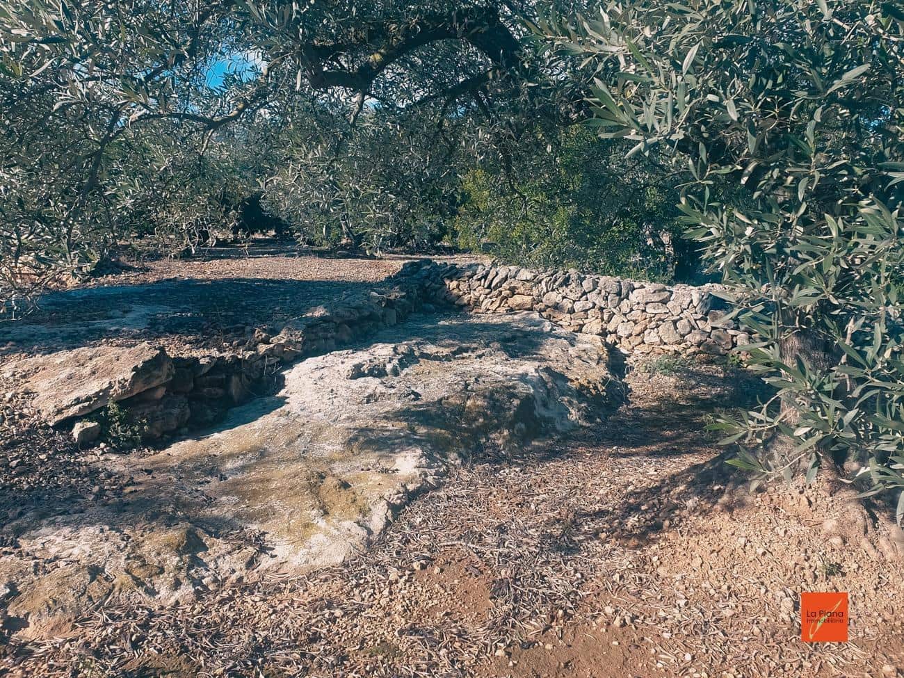 Ubebygd land til salgs i Sant Carles de la Rapita - € 96 500 (Ref: 7948335)