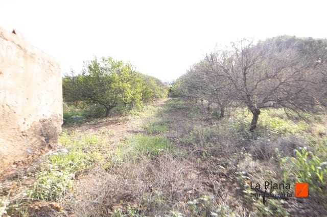 Undeveloped Land for sale in Santa Bàrbara - € 42,000 (Ref: 7992957)