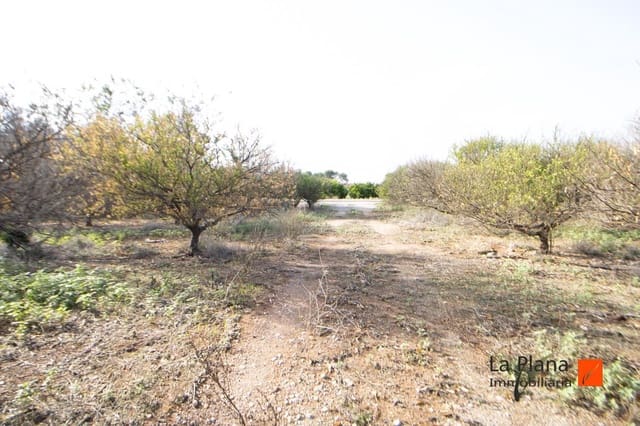 Undeveloped Land for sale in Santa Bàrbara - € 42,000 (Ref: 7992957)
