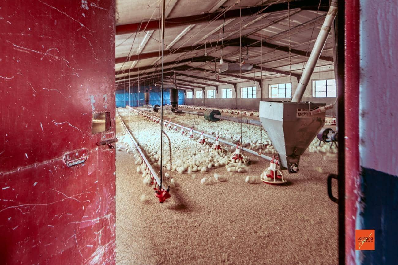 4 bedroom Finca/Country House for sale in Santa Barbara with pool - € 349,000 (Ref: 8158678)