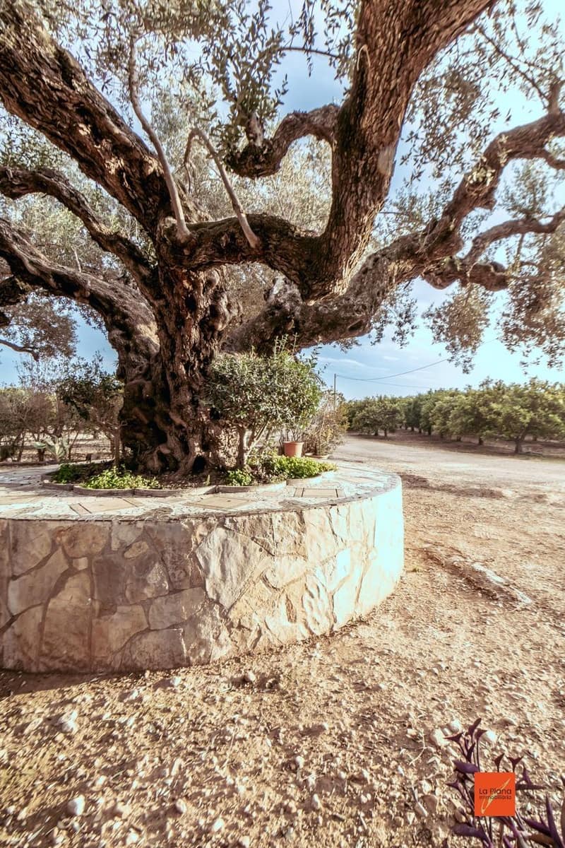 4 bedroom Finca/Country House for sale in Santa Barbara with pool - € 349,000 (Ref: 8158678)