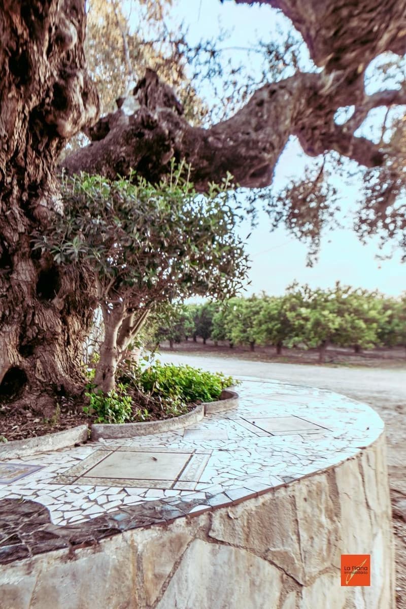 4 bedroom Finca/Country House for sale in Santa Barbara with pool - € 349,000 (Ref: 8158678)