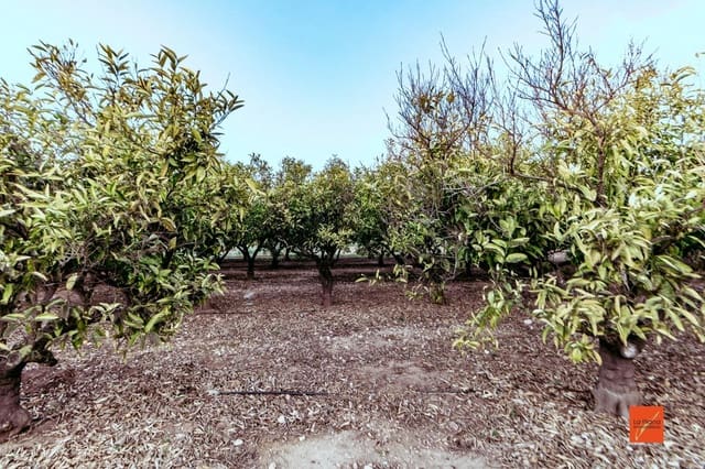 4 bedroom Finca/Country House for sale in Santa Bàrbara with pool - € 349,000 (Ref: 8158678)