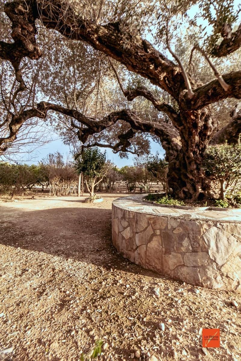 4 bedroom Finca/Country House for sale in Santa Barbara with pool - € 349,000 (Ref: 8158678)