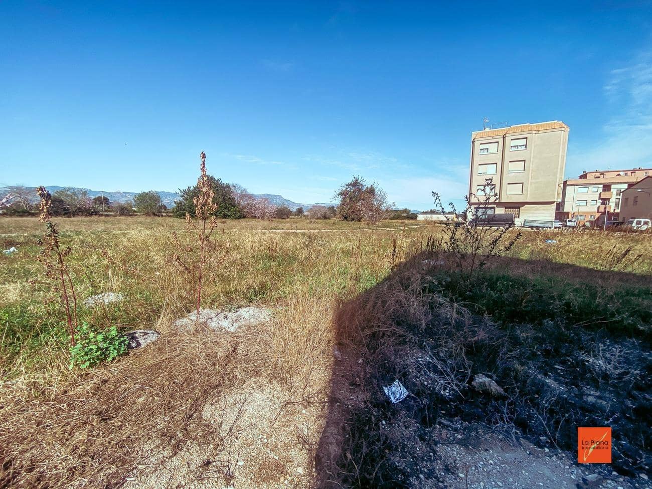 Byggegrund til salg i Santa Barbara - € 82.000 (Ref: 8172955)