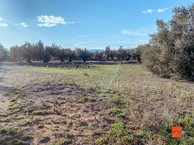 Finca/Country House for sale in Santa Bàrbara - € 16,000 (Ref: 8247616)