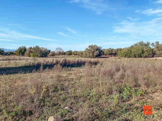 Finca/Country House for sale in Santa Bàrbara - € 16,000 (Ref: 8247616)