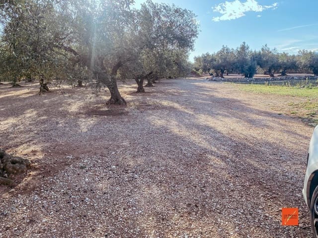 Quinta/Casa Rural para venda em Santa Bàrbara - 16 000 € (Ref: 8247616)