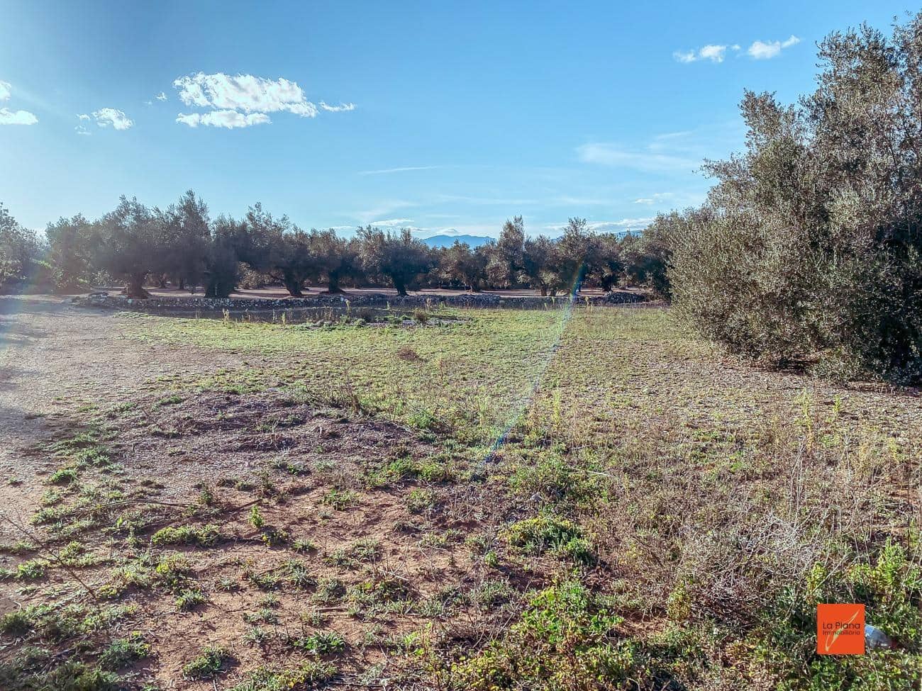 Finca/Herregård til salgs i Santa Barbara - € 16 000 (Ref: 8247616)