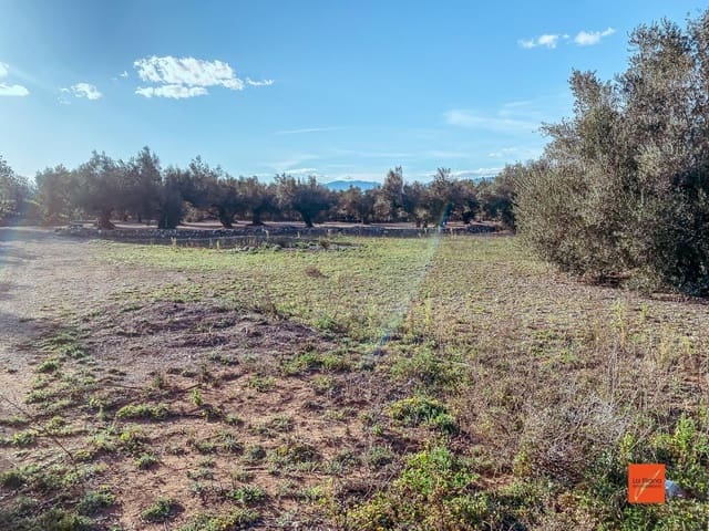 Quinta/Casa Rural para venda em Santa Bàrbara - 16 000 € (Ref: 8247616)