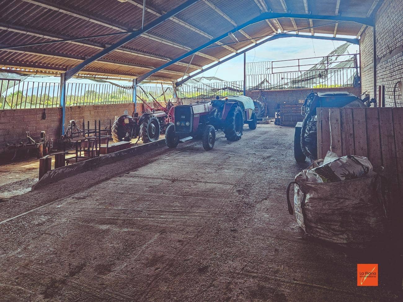 Grunde uden byggetilladelser til salg i Santa Barbara - € 230.000 (Ref: 8419779)