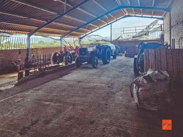 Undeveloped Land for sale in Santa Bàrbara - € 230,000 (Ref: 8419779)