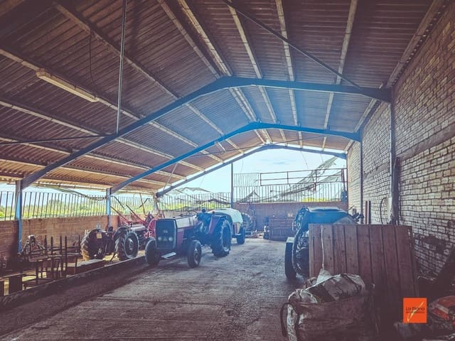 Undeveloped Land for sale in Santa Bàrbara - € 230,000 (Ref: 8419779)