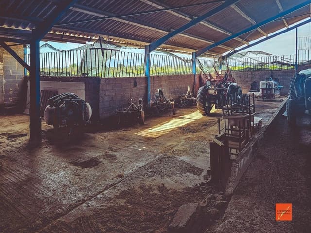 Undeveloped Land for sale in Santa Bàrbara - € 230,000 (Ref: 8419779)