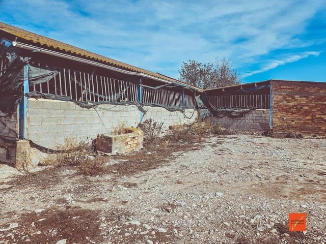 Undeveloped Land for sale in Santa Bàrbara - € 230,000 (Ref: 8419779)