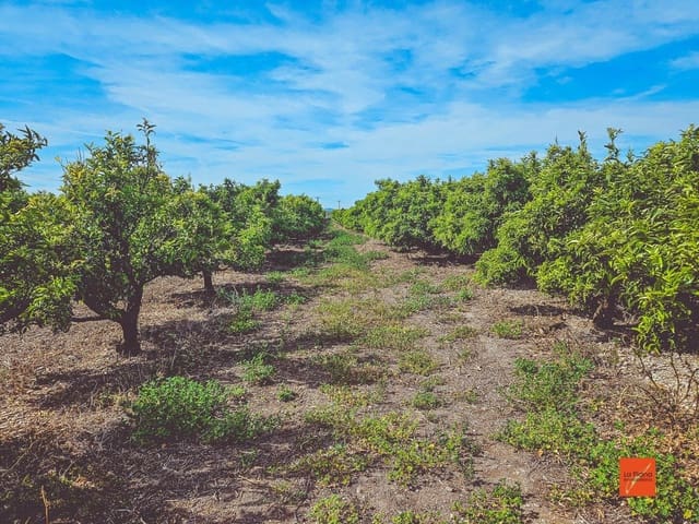 Undeveloped Land for sale in Santa Bàrbara - € 230,000 (Ref: 8419779)