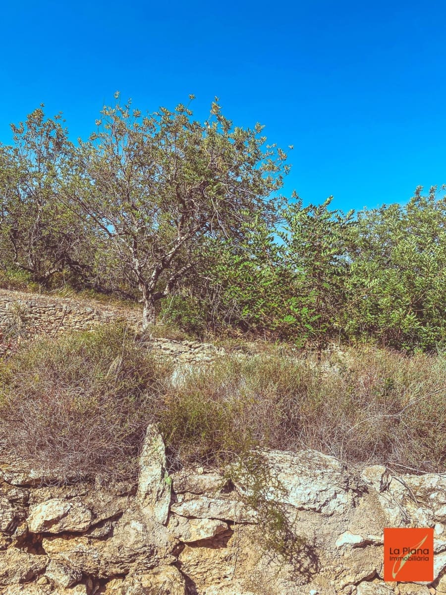 1 soveværelse Finca/Landehus til salg i Sant Carles de la Rapita - € 37.000 (Ref: 8474117)