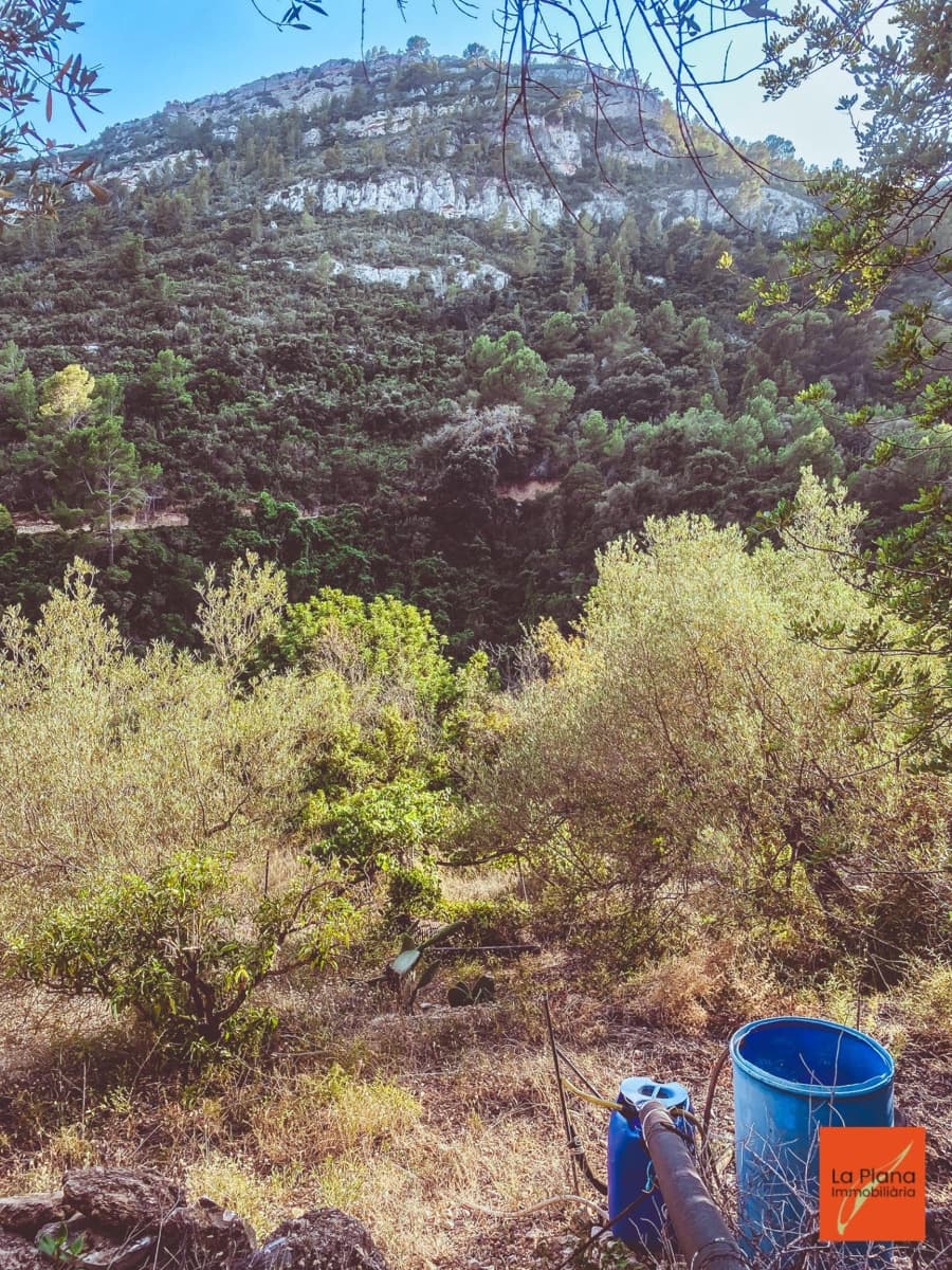 1 soveværelse Finca/Landehus til salg i Sant Carles de la Rapita - € 37.000 (Ref: 8474117)