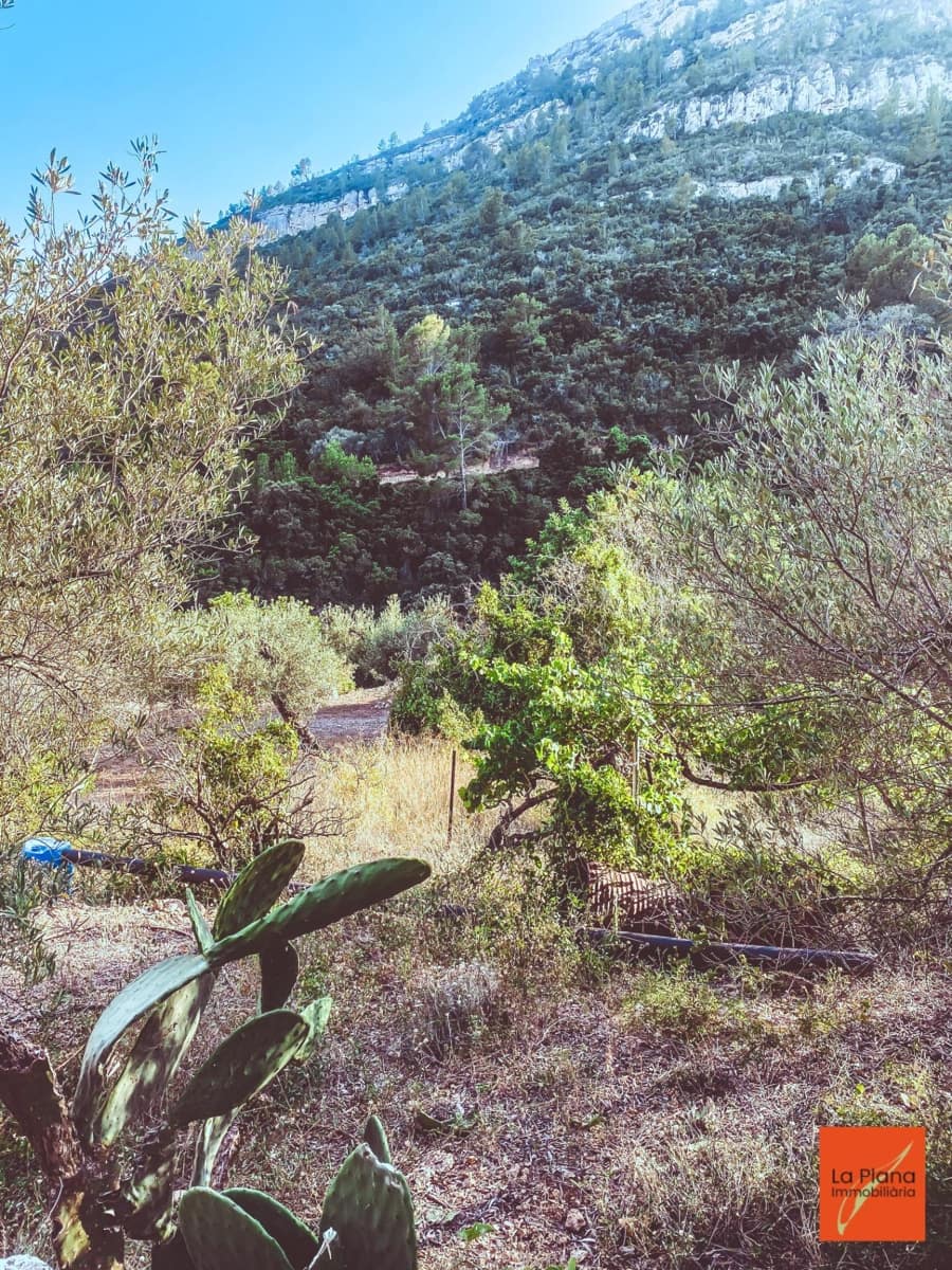 1 soveværelse Finca/Landehus til salg i Sant Carles de la Rapita - € 37.000 (Ref: 8474117)