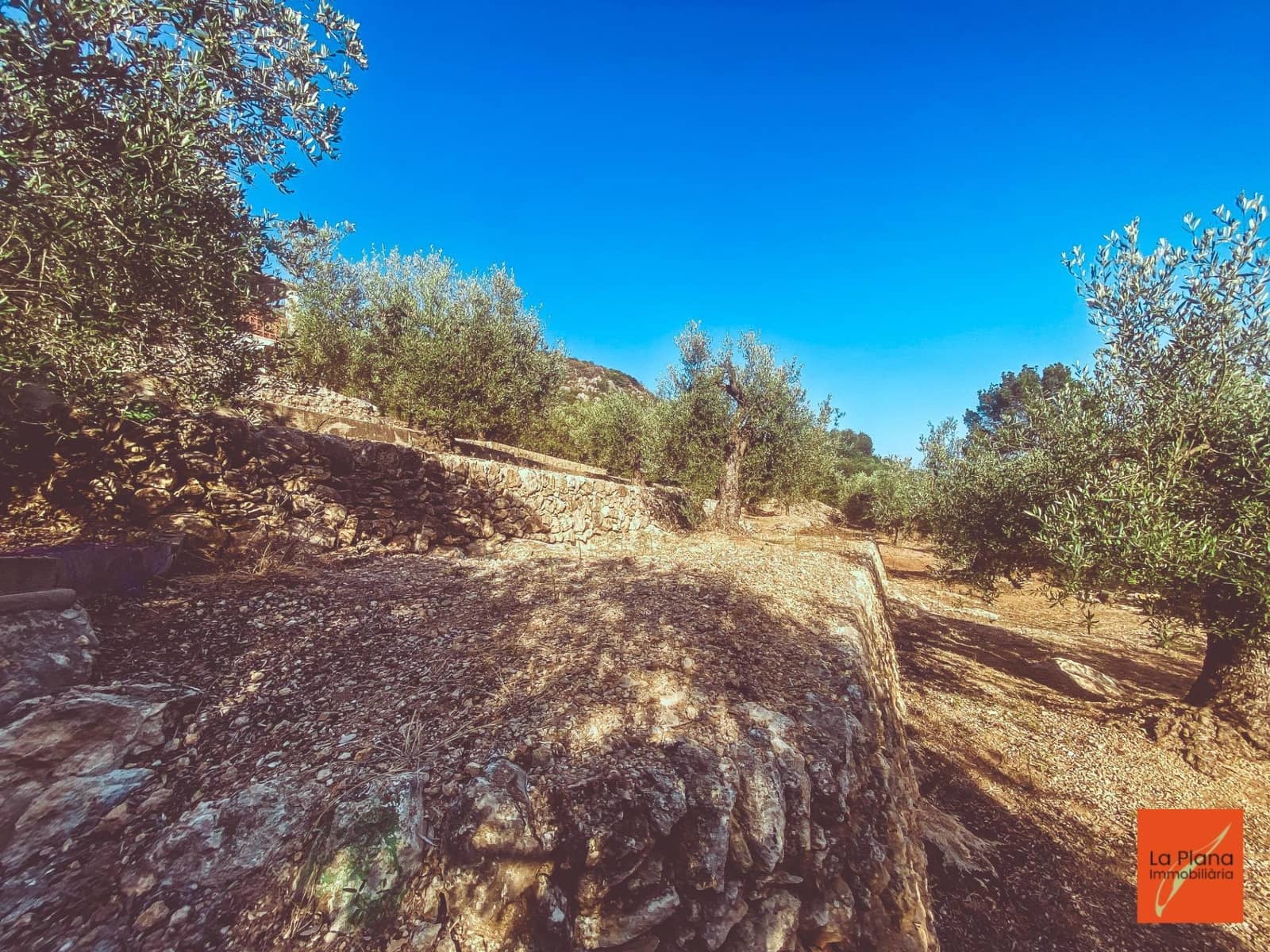 1 soveværelse Finca/Landehus til salg i Sant Carles de la Rapita - € 37.000 (Ref: 8474117)