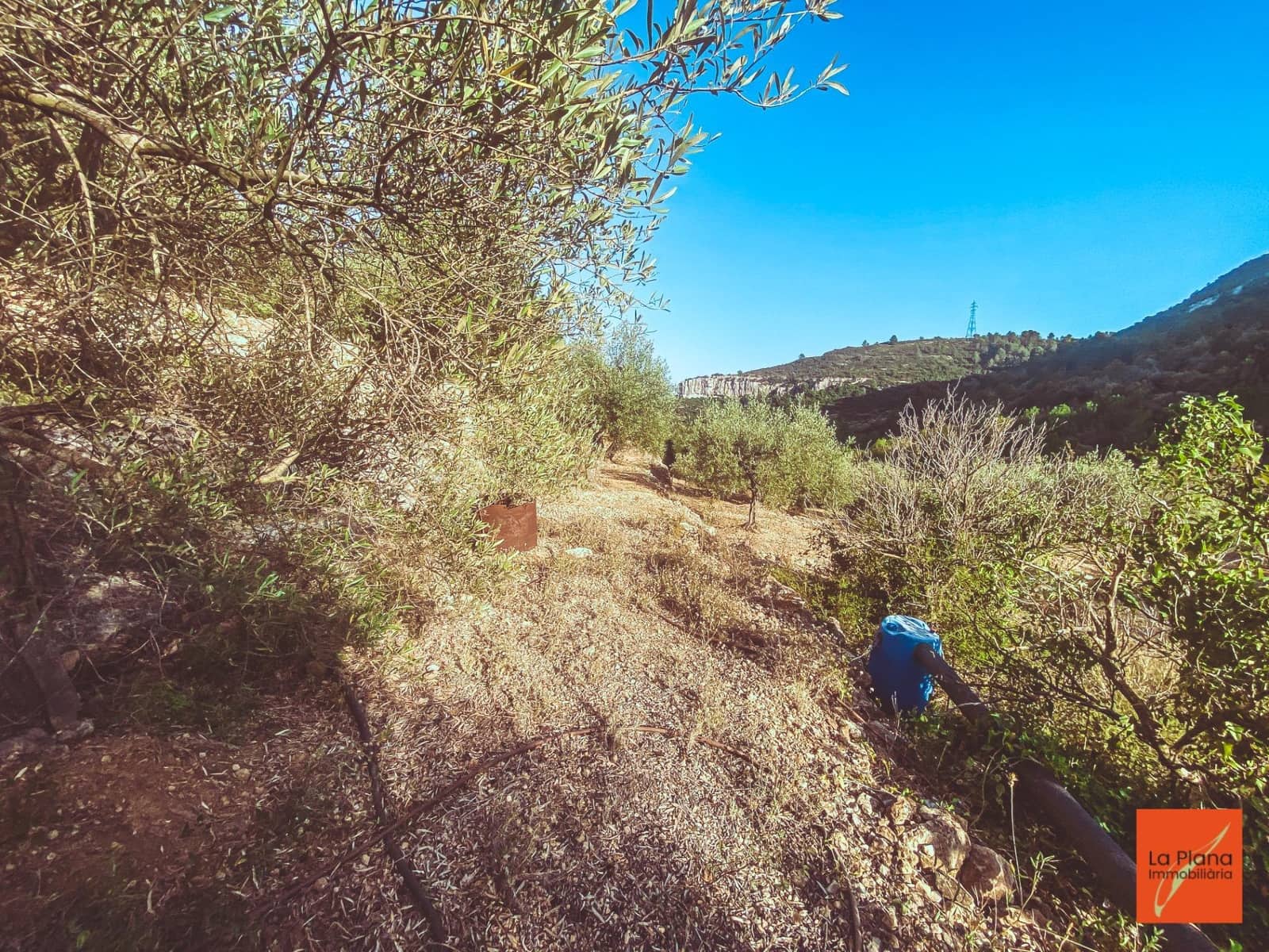 1 soveværelse Finca/Landehus til salg i Sant Carles de la Rapita - € 37.000 (Ref: 8474117)