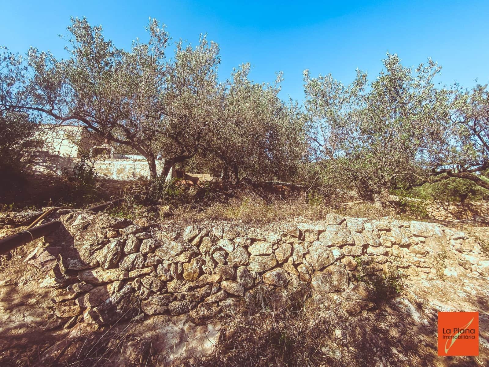 1 soveværelse Finca/Landehus til salg i Sant Carles de la Rapita - € 37.000 (Ref: 8474117)