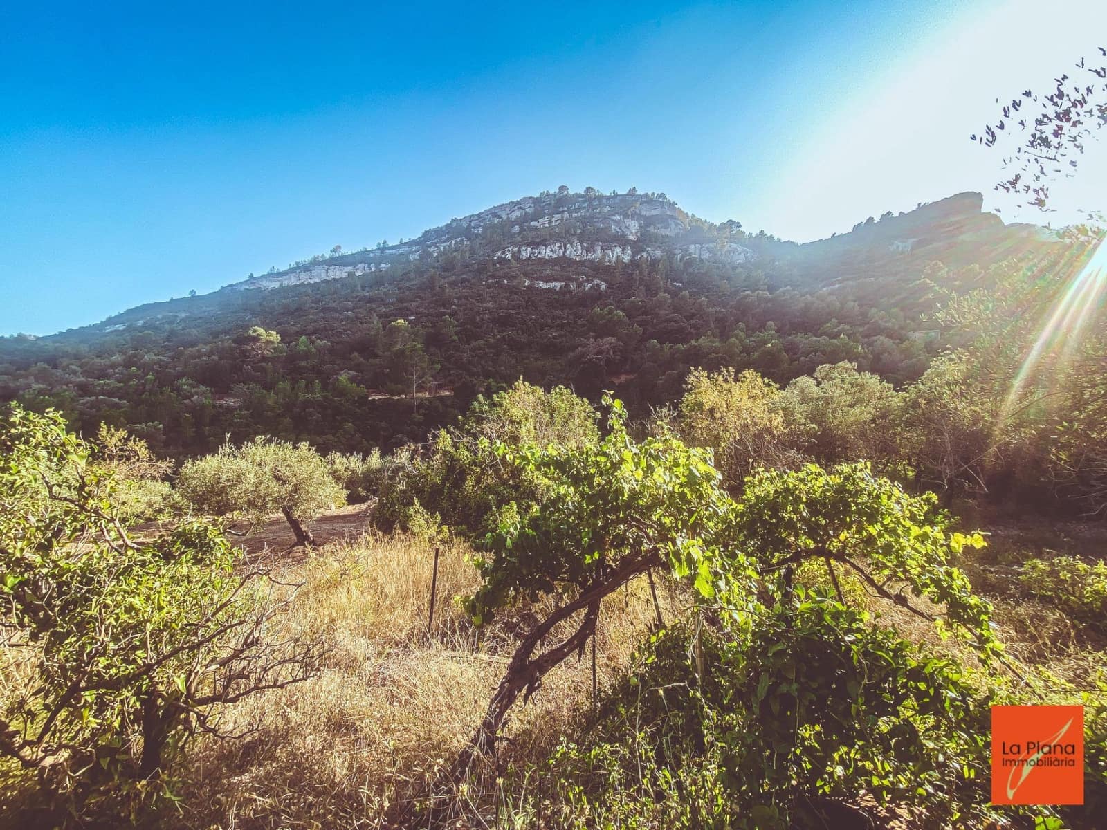 1 soveværelse Finca/Landehus til salg i Sant Carles de la Rapita - € 37.000 (Ref: 8474117)