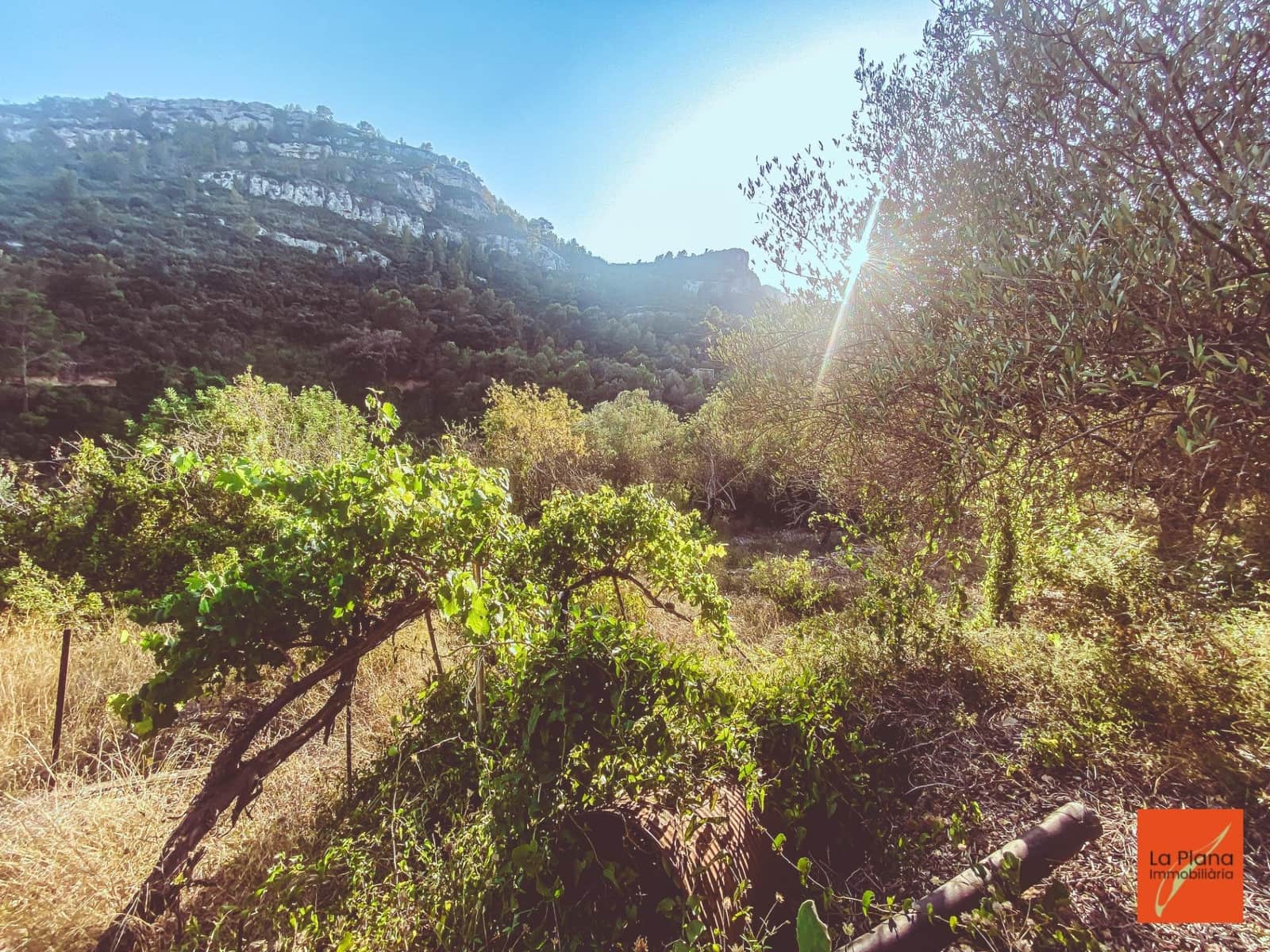 1 soveværelse Finca/Landehus til salg i Sant Carles de la Rapita - € 37.000 (Ref: 8474117)